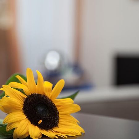 Bed and Breakfast Santa Croce Roma Esterno foto