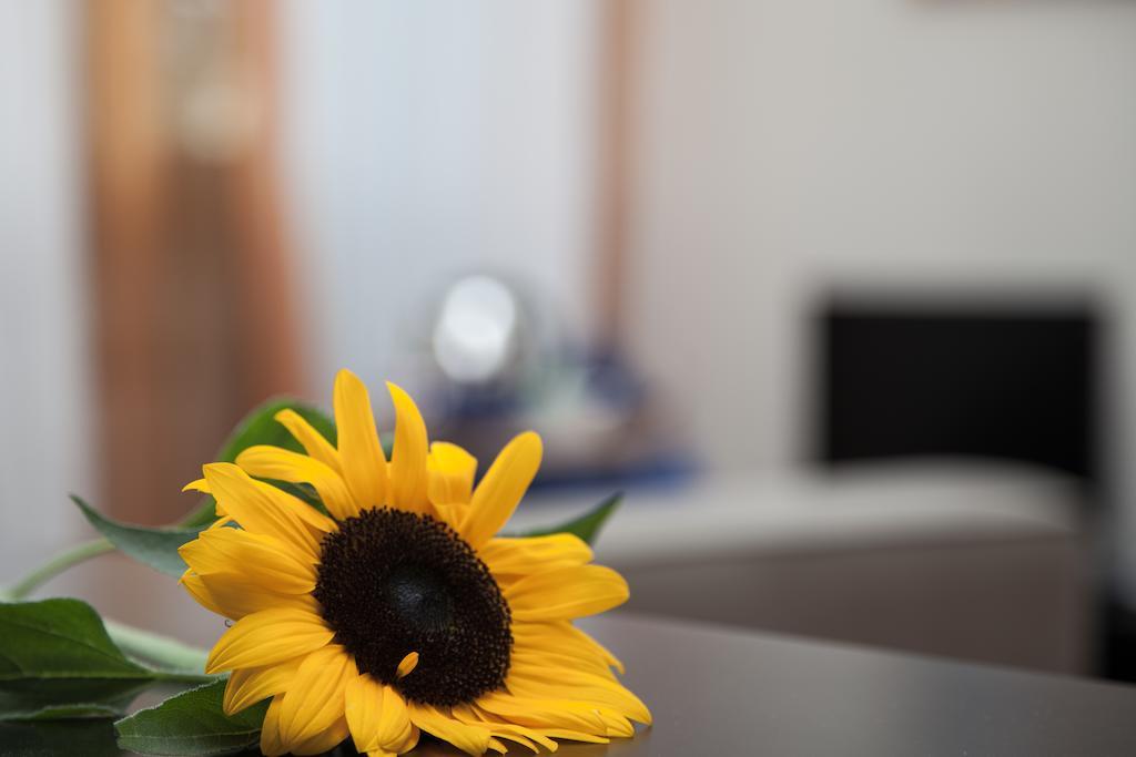 Bed and Breakfast Santa Croce Roma Esterno foto